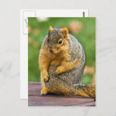 Carte Postale Étendue (Devant / Derrière)