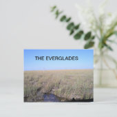 CARTE POSTALE ÉTENDUE DES EVERGLADES (Debout devant)