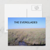 CARTE POSTALE ÉTENDUE DES EVERGLADES (Devant / Derrière)