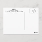 Carte Postale Éternité (Dos)