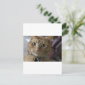 Carte Postale Ethan (Debout devant)
