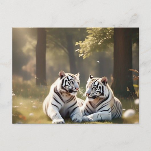 Carte Postale Ethereal White Tigers – Woodland Postcard (Devant)