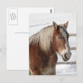 Carte Postale Étiquette (Devant / Derrière)