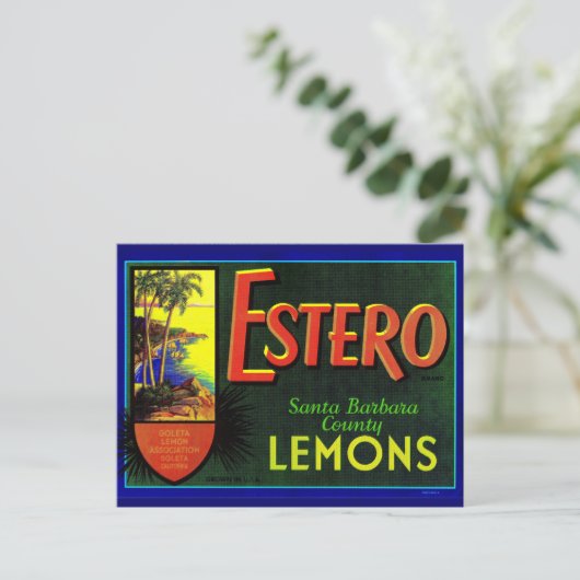 Carte Postale étiquette de caisses de citrons Estero dans les an (Debout devant)