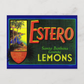 Carte Postale étiquette de caisses de citrons Estero dans les an (Devant)