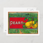 Carte Postale Étiquette de fréquence Stock (Devant / Derrière)