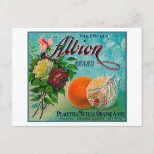 Carte Postale Étiquette de la marque Albion Citrus Crate
