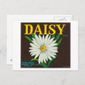 Carte Postale Étiquette de la marque Daisy Citrus Crate (Devant / Derrière)