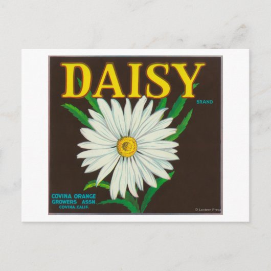 Carte Postale Étiquette de la marque Daisy Citrus Crate (Devant)