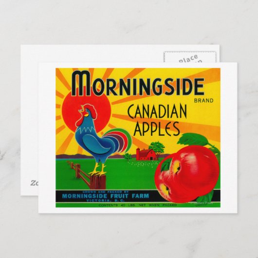 Carte Postale Étiquette de la pomme de Morningside Canada (Devant / Derrière)
