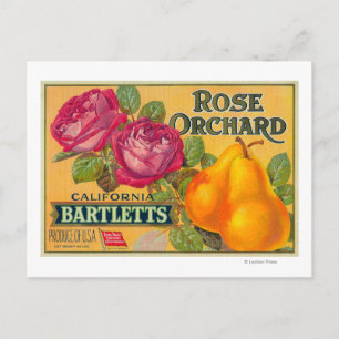 Carte Postale Étiquette rose Orchard Pear Crate
