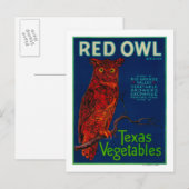 Carte Postale Étiquette végétal de la Chouette rouge (Devant / Derrière)