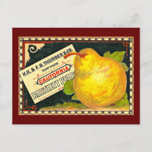Carte Postale Étiquette Vintage de fréquence Thurber Pears