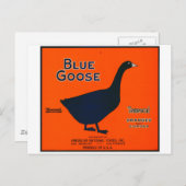 Carte Postale Étiquette vintage de fruits (Devant / Derrière)