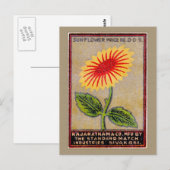 Carte Postale Étiquette vintage de match tournesol (Devant / Derrière)