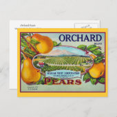Carte Postale Étiquette Vintage Fruit Pear (Devant / Derrière)