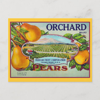 Carte Postale Étiquette Vintage Fruit Pear