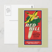 Carte Postale Étiquette vintage Red Bill Celery (Devant / Derrière)