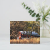 Carte Postale Étoile d'automne dans le Maryland central (Debout devant)