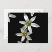 Carte Postale Étoile de Bethléem (Devant / Derrière)