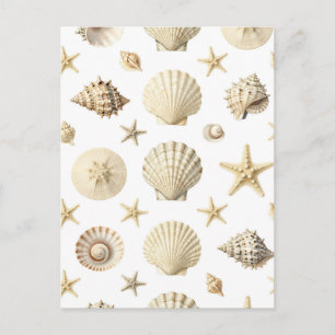 Carte Postale Étoile de mer des coquillages côtiers motif sans c