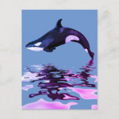 Carte Postale Étoile de mer isolée avec reflet (Devant)