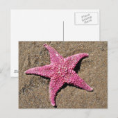 Carte Postale Étoile de mer rose (Devant / Derrière)