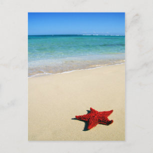 Carte Postale Étoile de mer rouge sur plage de sable blanc