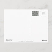 Carte Postale Étoile kaléidoscopique décorative gris argent anti (Dos)