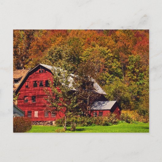 Carte Postale Étoile rouge en automne (Devant)