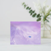 Carte Postale Étoile tombée (Debout devant)