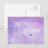 Carte Postale Étoile tombée (Devant / Derrière)