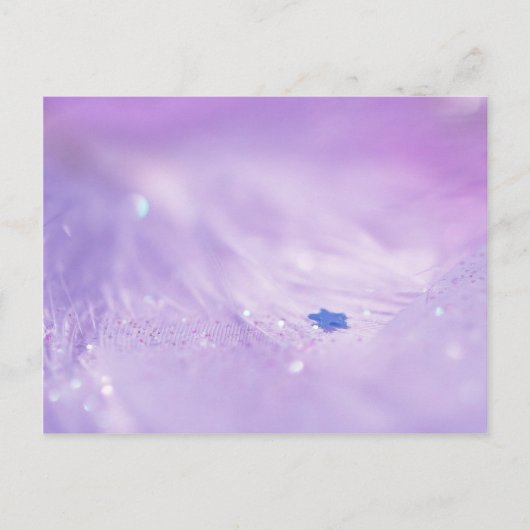 Carte Postale Étoile tombée (Devant)