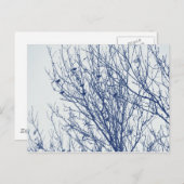 Carte Postale Étoiles dans un arbre - Effet Cyanotype (Devant / Derrière)