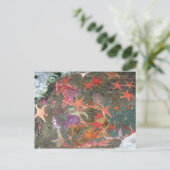 Carte Postale Etoiles de mer colorées (Debout devant)