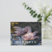 Carte Postale Etoiles de mer d'Ochre, Piscine de marée, Parc Nat (Debout devant)