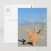 Carte Postale Étoiles de mer sur la plage (Devant / Derrière)