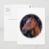 Carte Postale Étoiles du cheval (Devant / Derrière)