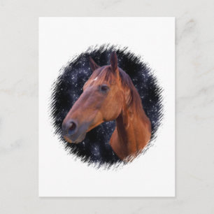 Carte Postale Étoiles du cheval