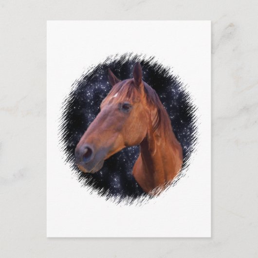 Carte Postale Étoiles du cheval (Devant)