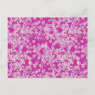 Carte Postale Étoiles, nuances lilas contre magenta
