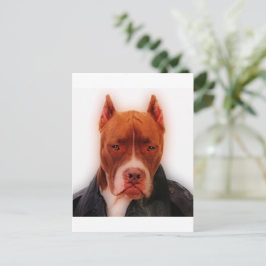 Carte Postale Étonnant Pit (Debout devant)