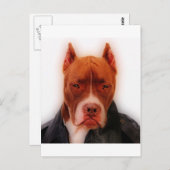 Carte Postale Étonnant Pit (Devant / Derrière)