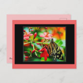 Carte postale étonnante papillon (Devant / Derrière)