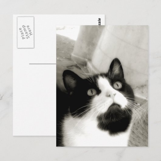 Carte Postale Étonné (Devant / Derrière)