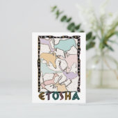 Carte postale Etosha (Debout devant)