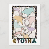 Carte postale Etosha (Devant)