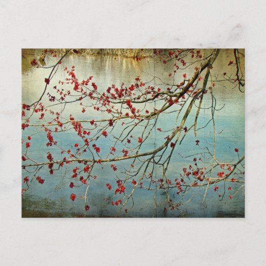 Carte Postale Étouffement (Devant)