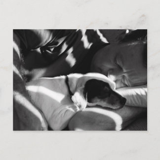 Carte Postale Étouffer