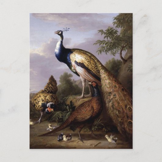 Carte Postale ÉTRANGE, les oiseaux de Tobias, les animaux de pao (Devant)